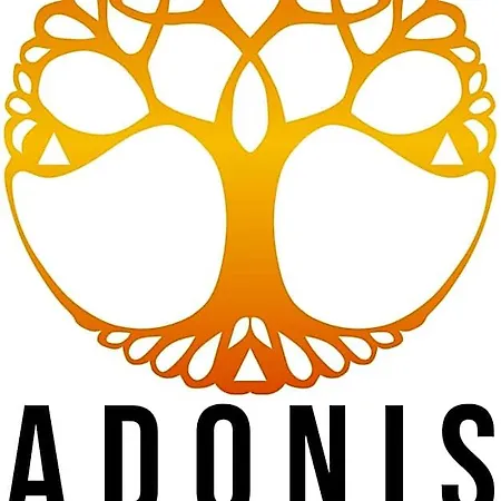 Adonis Maison Internationale Dijon