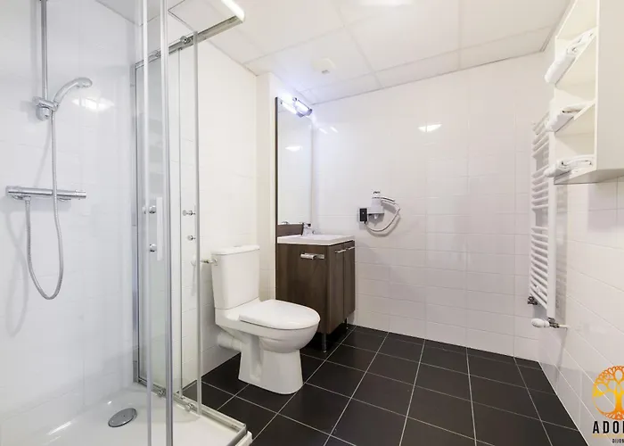 Adonis Maison Internationale