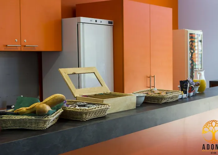 Adonis Maison Internationale 3* Dijon