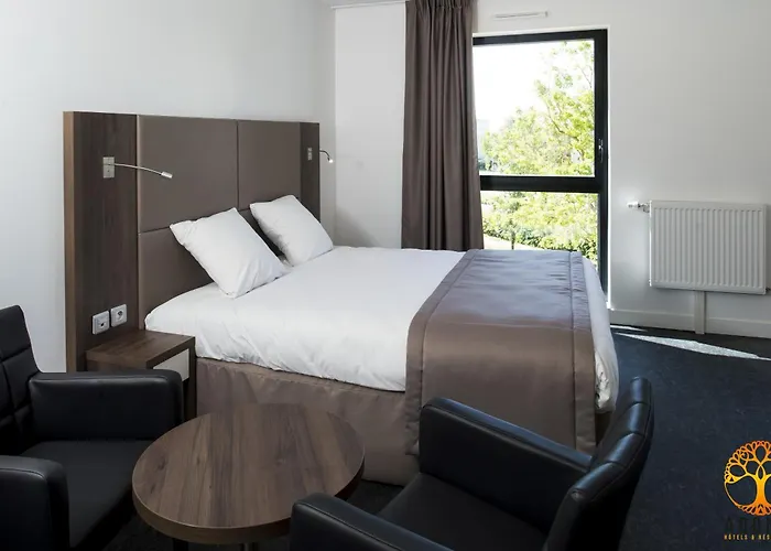 Adonis Maison Internationale 3* Digione