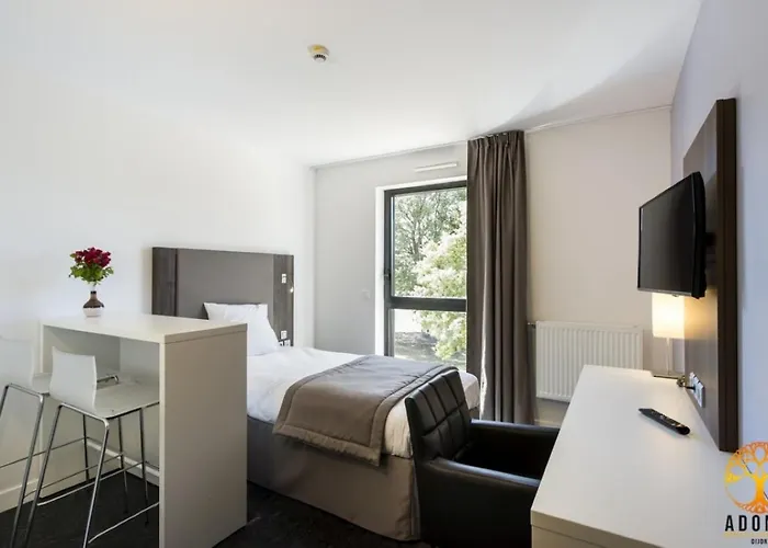 Adonis Maison Internationale Digione